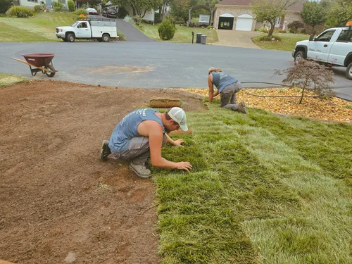 Sod Installation.